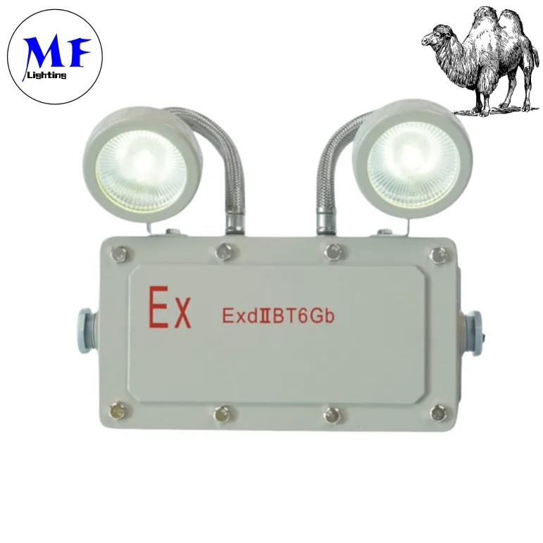 2*5W Emergency Exit Light Explosion Proof Emergency Light for Industrial Zones Mining Areas Chemical Plants Oil and Gas Facilities Hospital 1