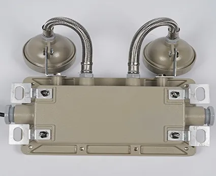 2*5W Emergency Exit Light Explosion Proof Emergency Light for Industrial Zones Mining Areas Chemical Plants Oil and Gas Facilities Hospital 5