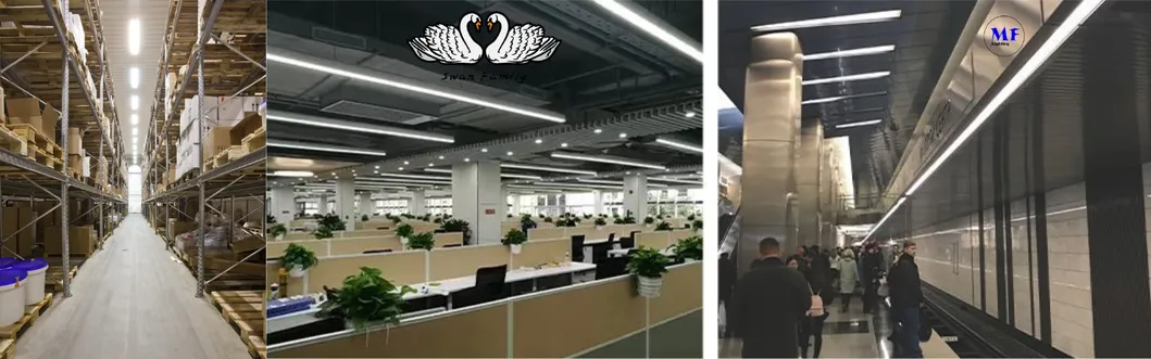 สาย LED สายไฟฟ้าสีฟ้า 2 แพนลิสติก ร้านผลไม้ ซุปเปอร์มาร์เก็ต โกดัง หนังสือ หุ้นห้างจักรยาน หุ้นสํานักงาน ร้านผ้า 10