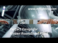 โคมไตรหลักฐาน LED 600 มม. 25W พร้อมตัวกระจายกระจกนิรภัย