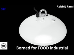 นำแสงอ่าวสูง