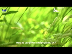 MF โซลาร์สตรีทไลท์ มุก 3 วิดีโอ