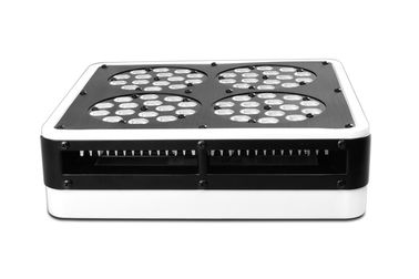 Intelligent Red / Blue LED Grow Lamp Safe Output Low DB LED Indoor Grow Lights