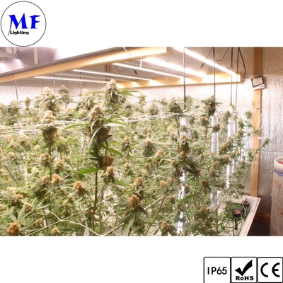 LED Plant Grow Light 5years Warranty IP65 Waterproof 250W 500W 750W 1000W Full Spectrum UV IR With Manual Controller