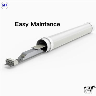 LED Tri-Proof Light Anti-Ammonia White Color Ik10 IP69K 0~10V Dim CCT Power Adjustable 170lm/W 1.6m for Diary Cow Sheep Farmyard Livestock
