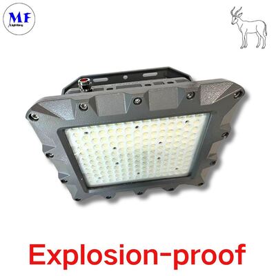 Factory Price 400W ExplosionProof Flood Light IECEx ATEX Die-casting Aluminum IP66 IK08 Oil Gas Chemical Mining Marine Hazard Industry LED Explosion Proof Light