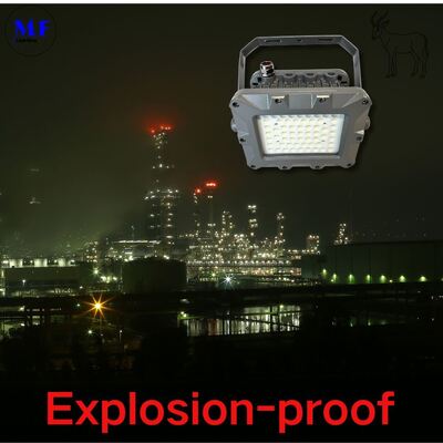 IP66 50W 75W 100W 150W 200W 240W 300W 350W 400W EATON Oil Minging Offshore Zone Explosionproof Lighitng LED Explosion Proof Atex Flood Light