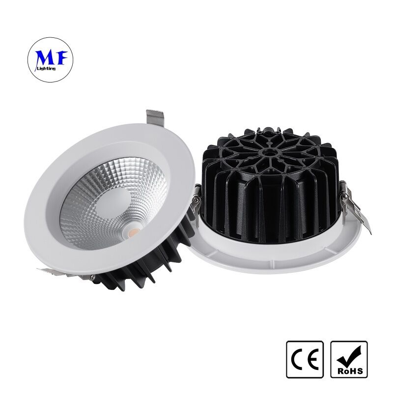 COB LED Recessed Downlight 30W Triac 0-10V Dali-2 Dt6 Dt8 Dimmable Tuya Zigbee Tuya WiFi Smart Control Ugr<19 Die-Cast Aluminum Ceiling Down Light