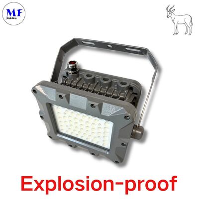 ไฟ LED ป้องกันการระเบิดสำหรับอุตสาหกรรมน้ำมันและก๊าซนอกชายฝั่ง EATON IP66 50W 75W 100W 150W 200W 240W 300W 350W 400W สำหรับโซนอันตราย ATEX