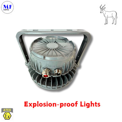 IP66 IK08 รับประกัน 5 ปี ติดตั้งได้หลายวิธี Ra>80 ได้รับการรับรอง ATEX อลูมิเนียมหล่อขึ้นรูป ป้องกันการระเบิด ไฟไฮเบย์